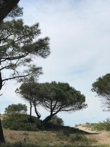 Oh! Campings - La Tamarissiere Agde Buitenkant foto
