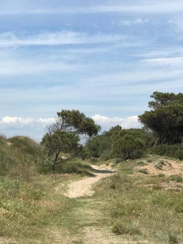 Oh! Campings - La Tamarissiere Agde Buitenkant foto